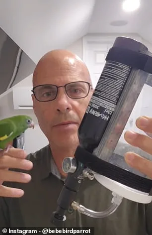 Parrot Takes Underwater Adventure in Custom Submarine, Goes Viral