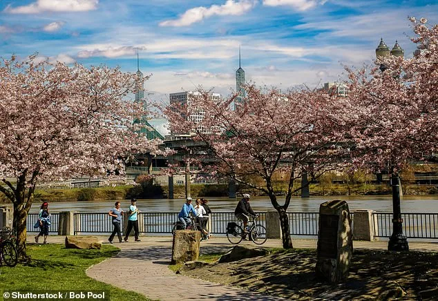 Teen Survives After Car Plunges into River During Fleeing Police Chase