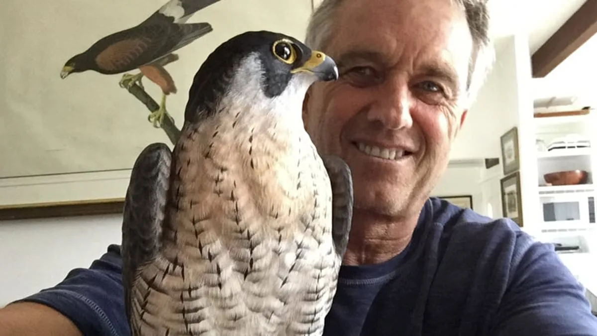 From Olympic Collapse to Musical Redemption: Floyd Scholz's Unlikely Journey