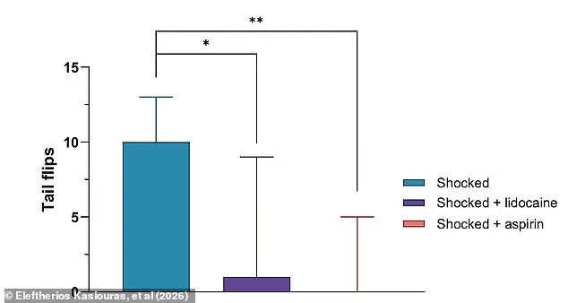 New Research Suggests Lobsters Feel Pain, Prompting Debate on Boiling Alive Practices
