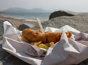 New Research Suggests Lobsters Feel Pain, Prompting Debate on Boiling Alive Practices