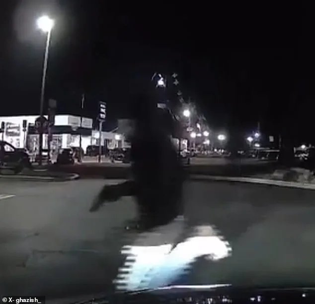 Surveillance Footage Captures Shooter Fleeing NJ Chick-fil-A During Targeted Attack Leaving 1 Dead, 6 Injured