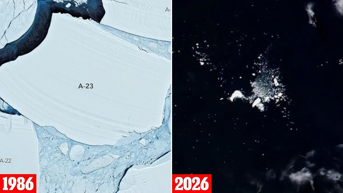 World's Largest Iceberg A–23A Disintegrates After 35-Year Journey Across Southern Ocean
