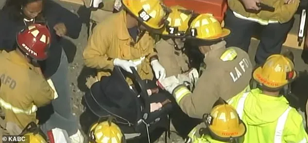 California Family of Ten Recovers After Severe Hit-and-Run on 170 Freeway