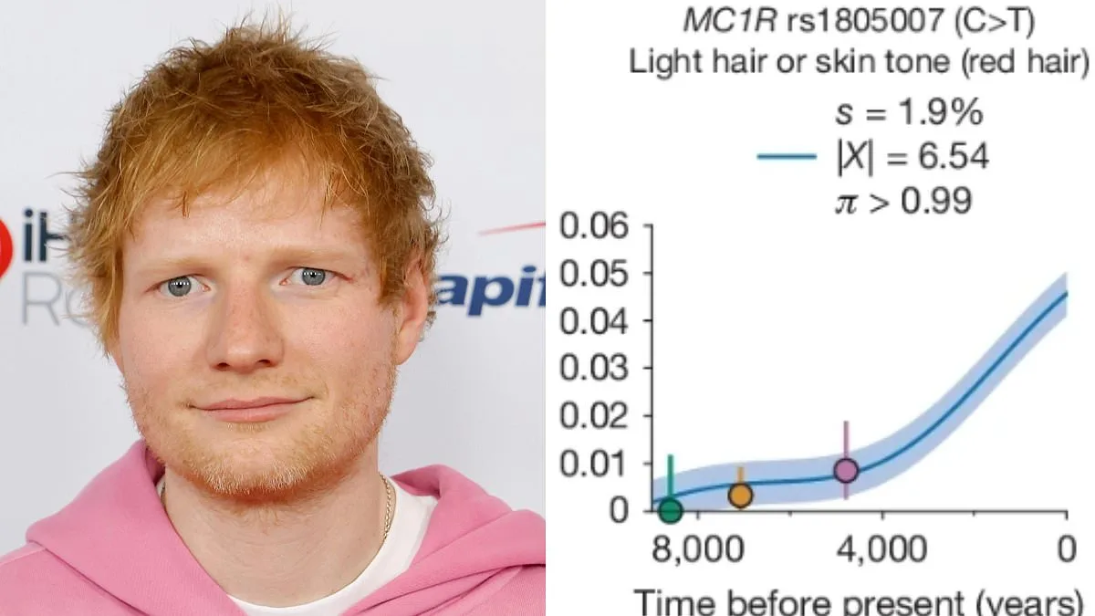 DNA Discovery: Red Hair, Health Benefits, and Evolution's Rapid Shift