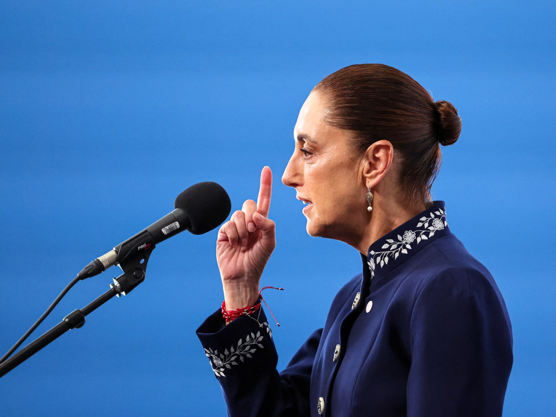 Mexico Arrests Hungarian Drug Smuggler in New Anti-Cartel Push