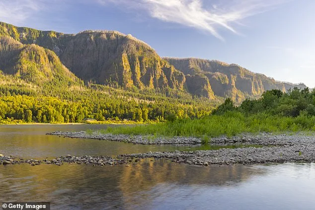 Oregon detectives solve 1958 family disappearance mystery, identify victims in Columbia River.