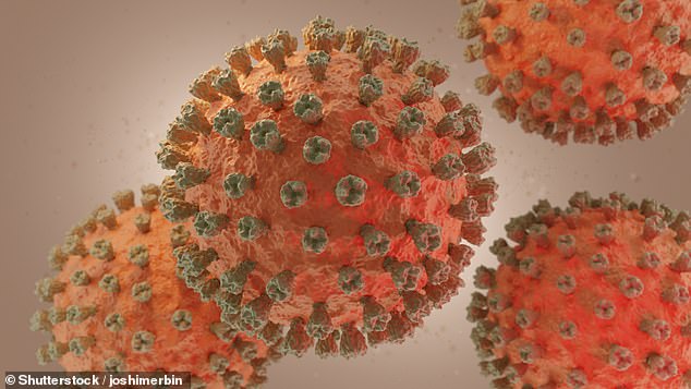 UK and US launch bird flu vaccine trial amid pandemic fears