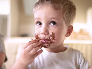 UK and US launch bird flu vaccine trial amid pandemic fears