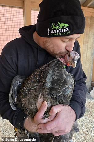 Undercover footage exposes filthy, inhumane conditions and public health risks at NYC live animal markets.