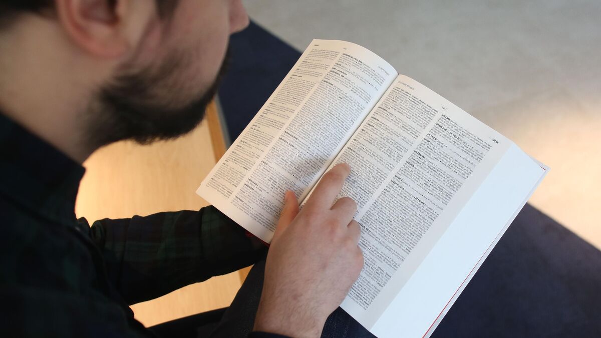New Dictionary Entries Capture Global Cuisine, Digital Tech, and Social Change