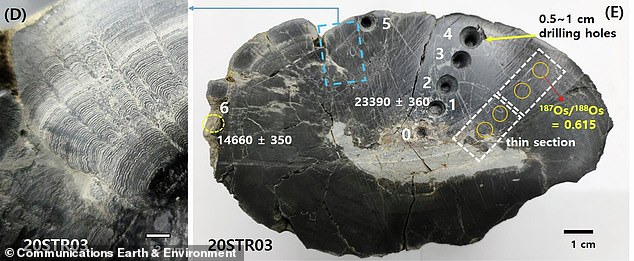 Ancient Korean Crater Holds Alien Material and Earliest Life Evidence