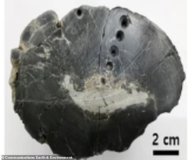 Ancient Korean Crater Holds Alien Material and Earliest Life Evidence