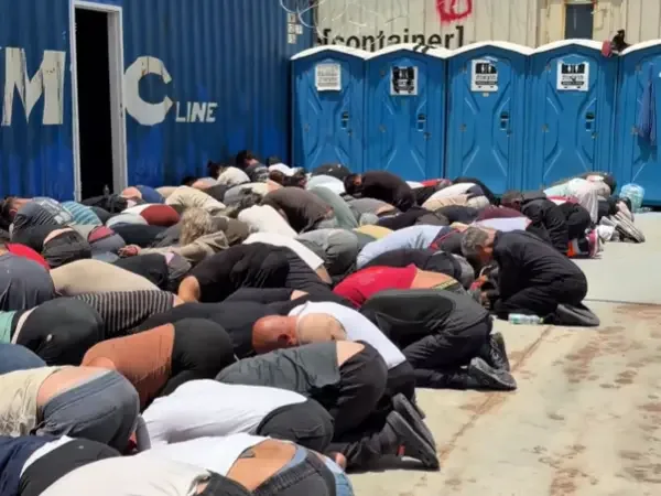 Hundreds of pro-Palestinian activists detained in Israel have been deported.
