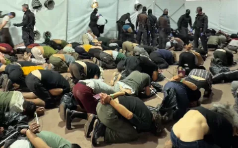 Hundreds of pro-Palestinian activists detained in Israel have been deported.