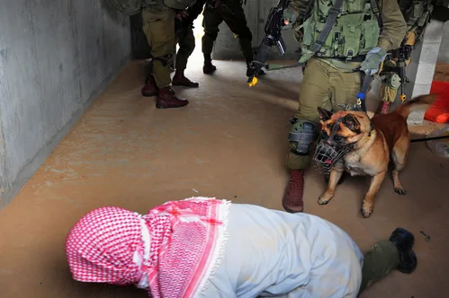 Hundreds of pro-Palestinian activists detained in Israel have been deported.