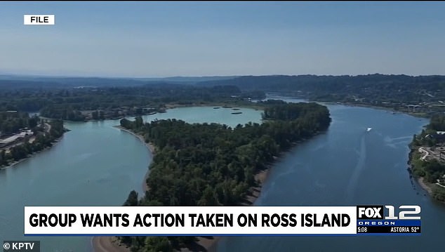 Portland Residents Gain Public Access to Once-Forbidden Ross Island