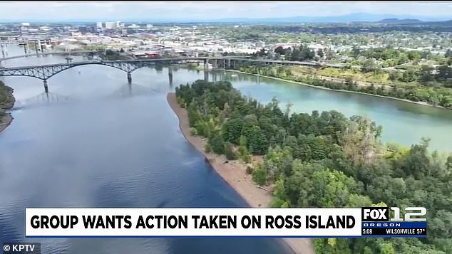 Portland Residents Gain Public Access to Once-Forbidden Ross Island