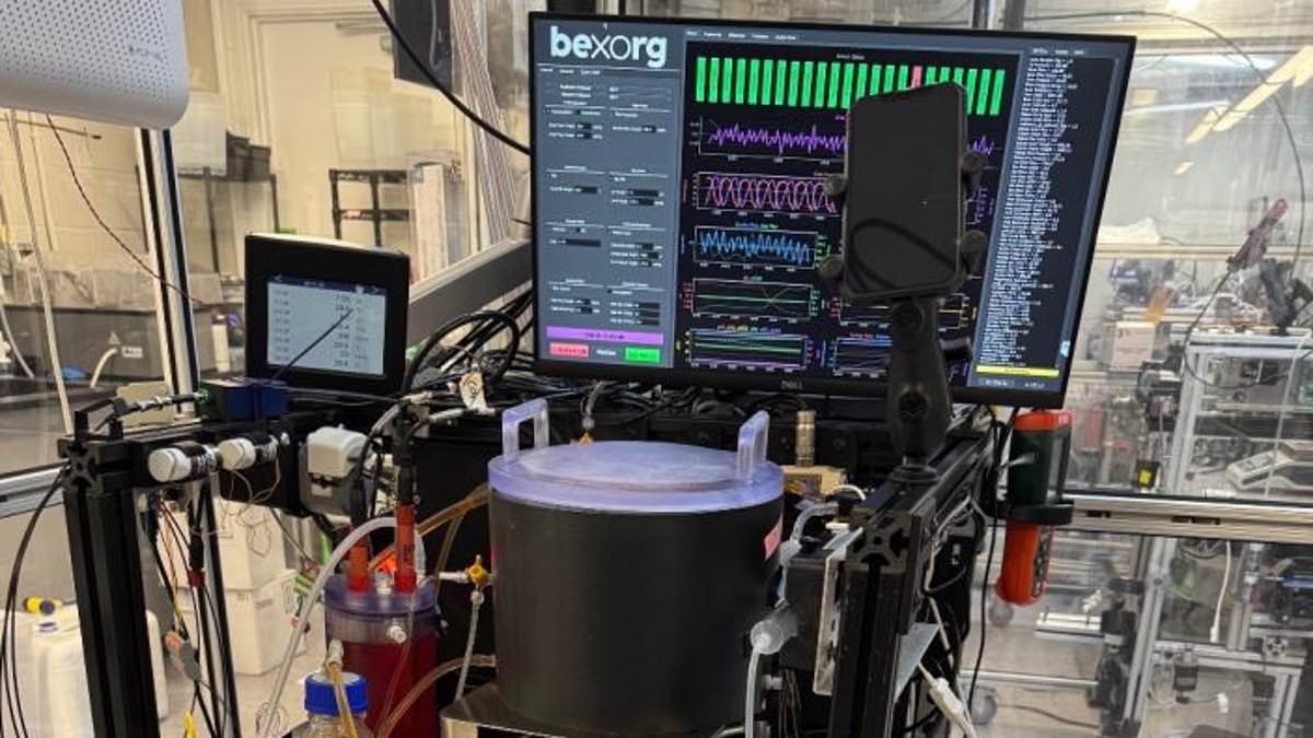 Connecticut startup tests drugs on suspended human neural tissue.