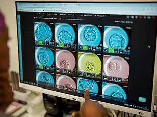 Connecticut startup tests drugs on suspended human neural tissue.