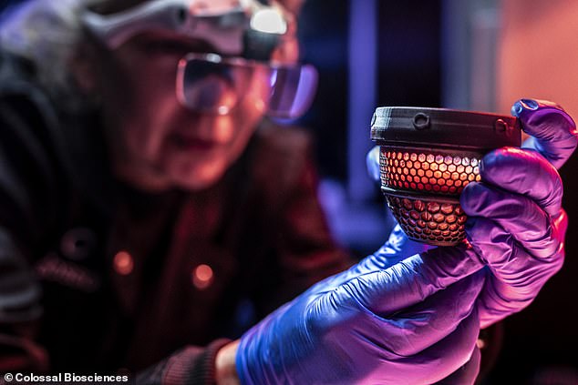 Scientists hatch live chicks using artificial eggs, advancing de-extinction efforts.