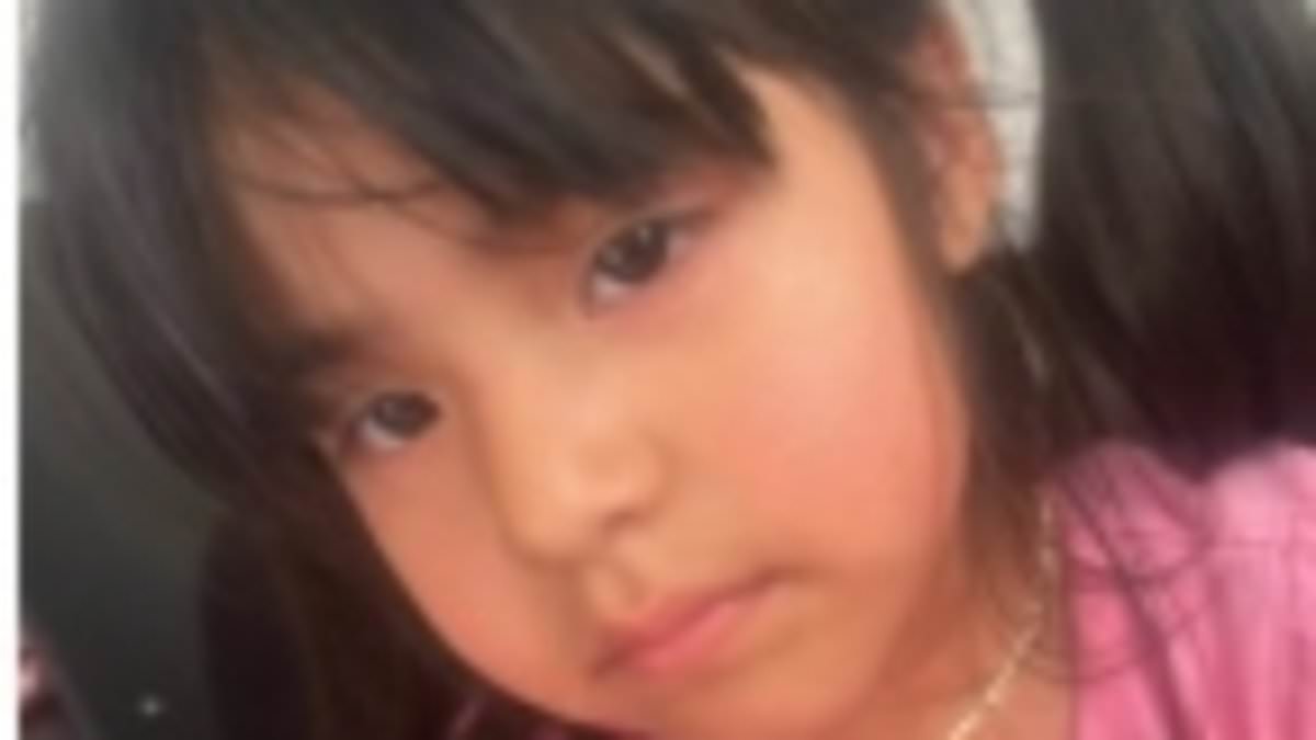 LAPD Urges Public Help Finding 4-Year-Old Girl After Father's Arrest