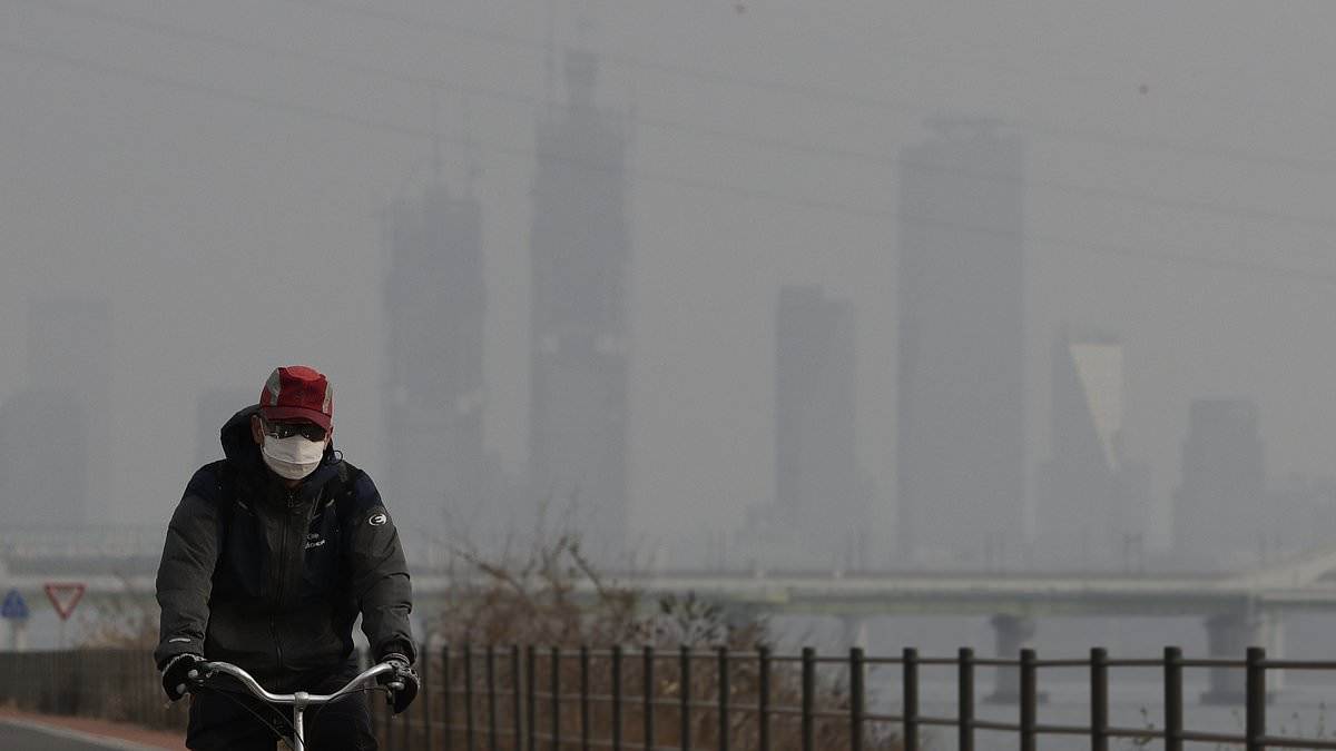 One hour of polluted air damages lungs and brain function instantly.