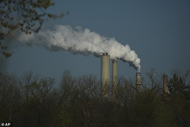 One hour of polluted air damages lungs and brain function instantly.