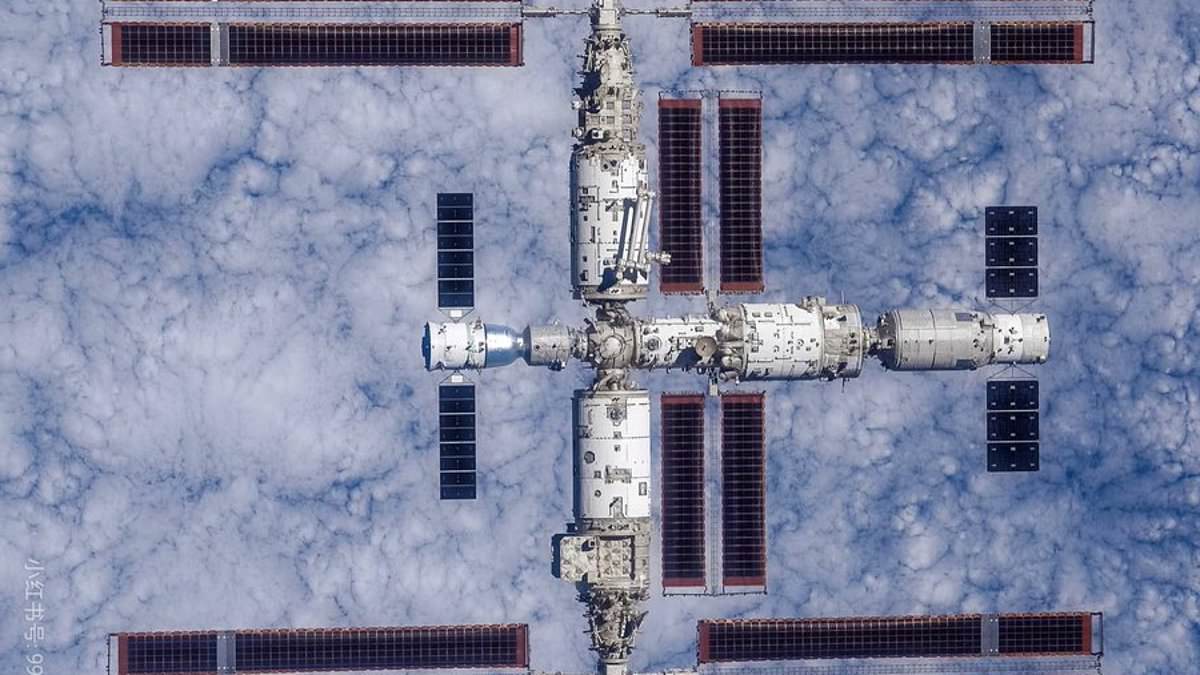 China sends artificial embryos to space station to study zero-gravity reproduction risks.
