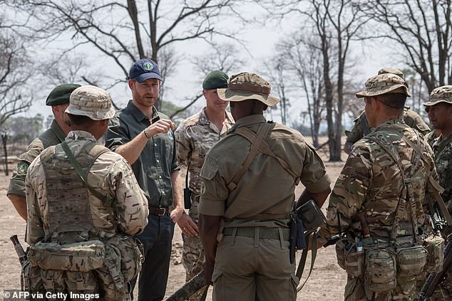 Prince Harry Faces Calls to Resign Over Congo Charity Abuse Scandal