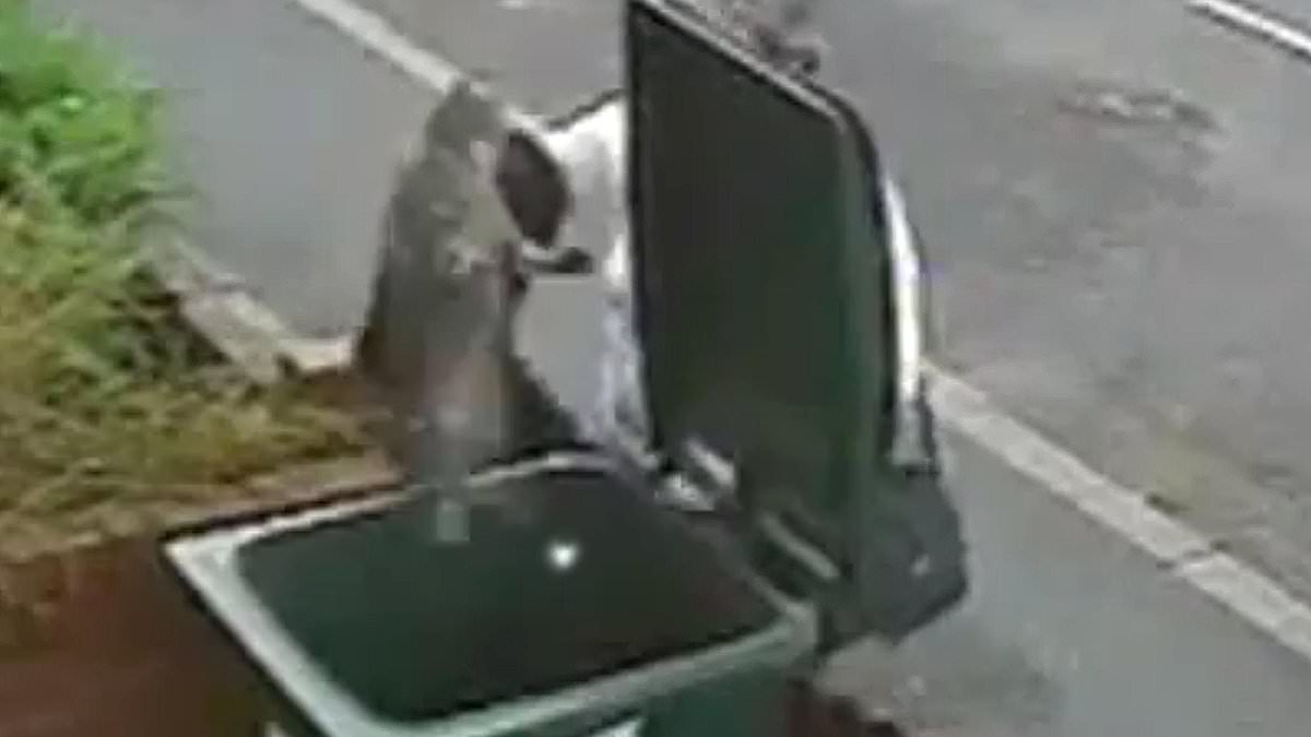 Woman Dumps Cat in Bin Sparks Global Outrage and Life Changes