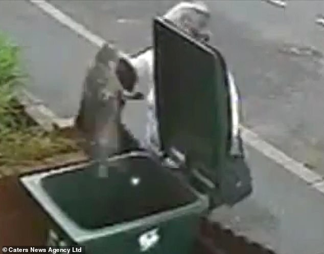 Woman Dumps Cat in Bin Sparks Global Outrage and Life Changes