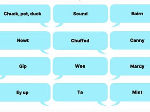 Acoustic vowel differences explain why British swear words are harsher in the South.