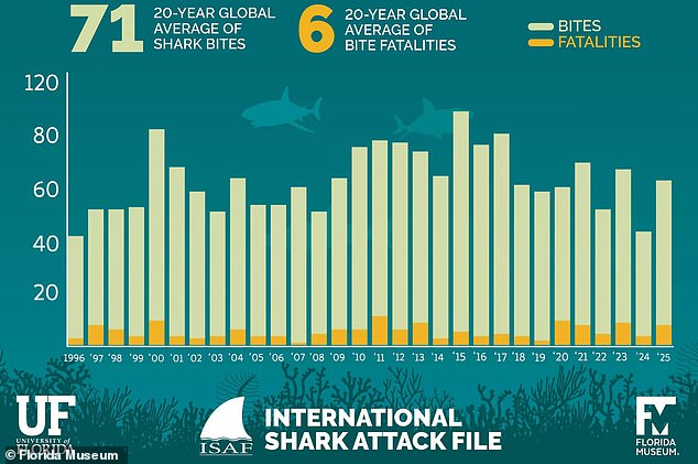 Great White Sighting in Mediterranean Sparks Global Review of Shark Risks