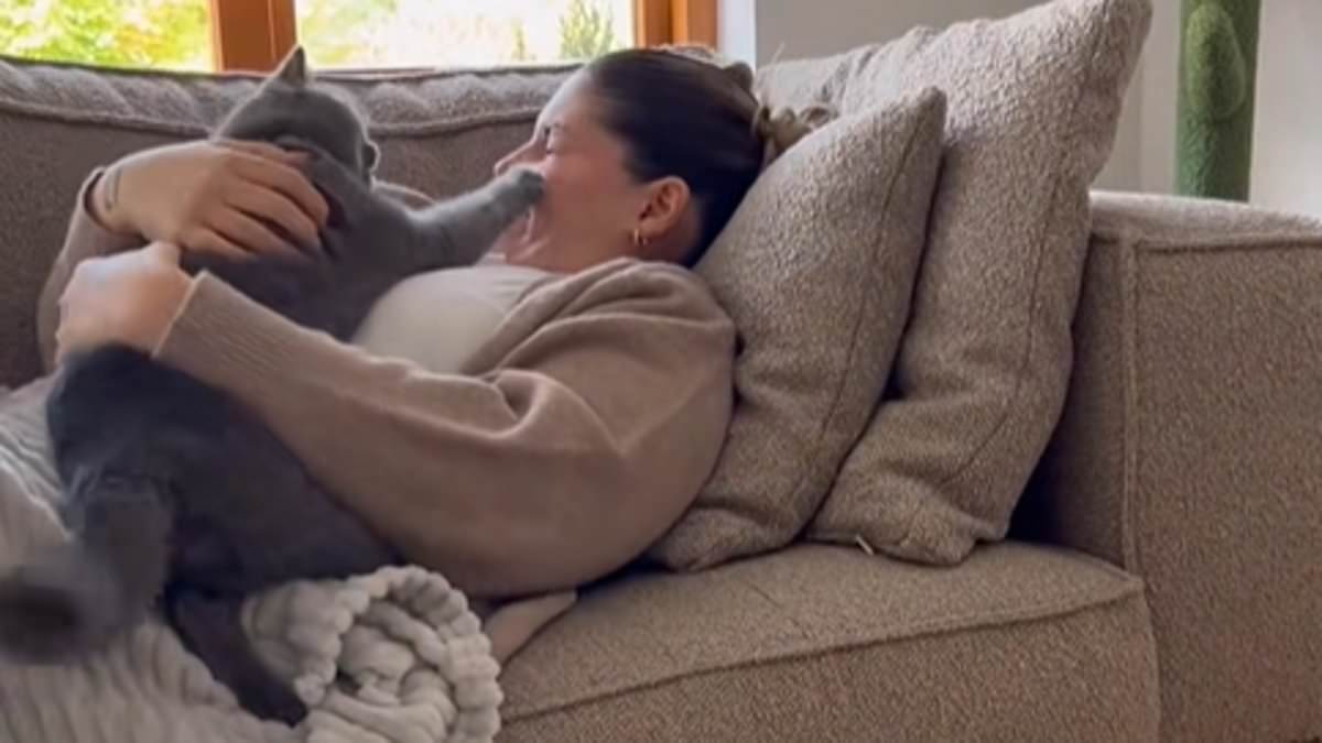Cuddling a Cat May Actually Increase Stress Instead of Helping