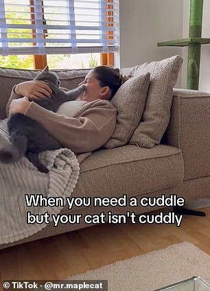 Cuddling a Cat May Actually Increase Stress Instead of Helping