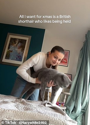 Cuddling a Cat May Actually Increase Stress Instead of Helping